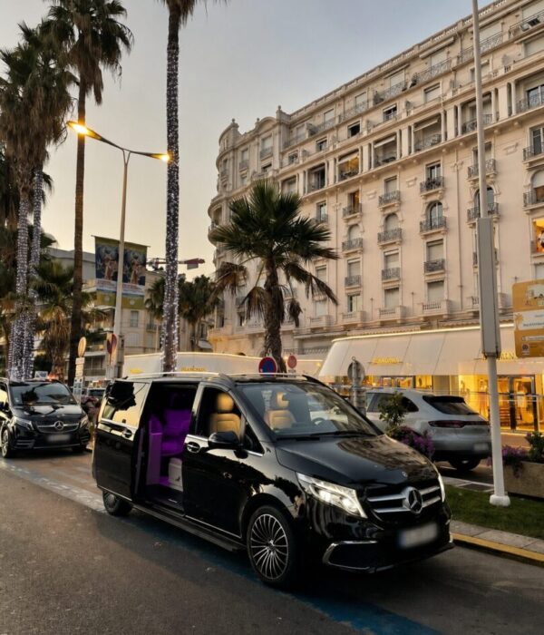 Van avec chauffeur privé sur la Côte d'Azur, palmiers en bord de mer